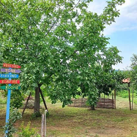 Veli Guest House • საოჯახო სასტუმრო ველი Zemo Alvani Extérieur photo