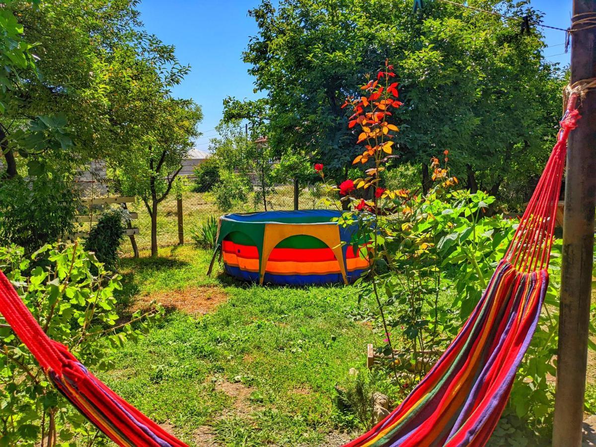 Veli Guest House • საოჯახო სასტუმრო ველი Zemo Alvani Extérieur photo