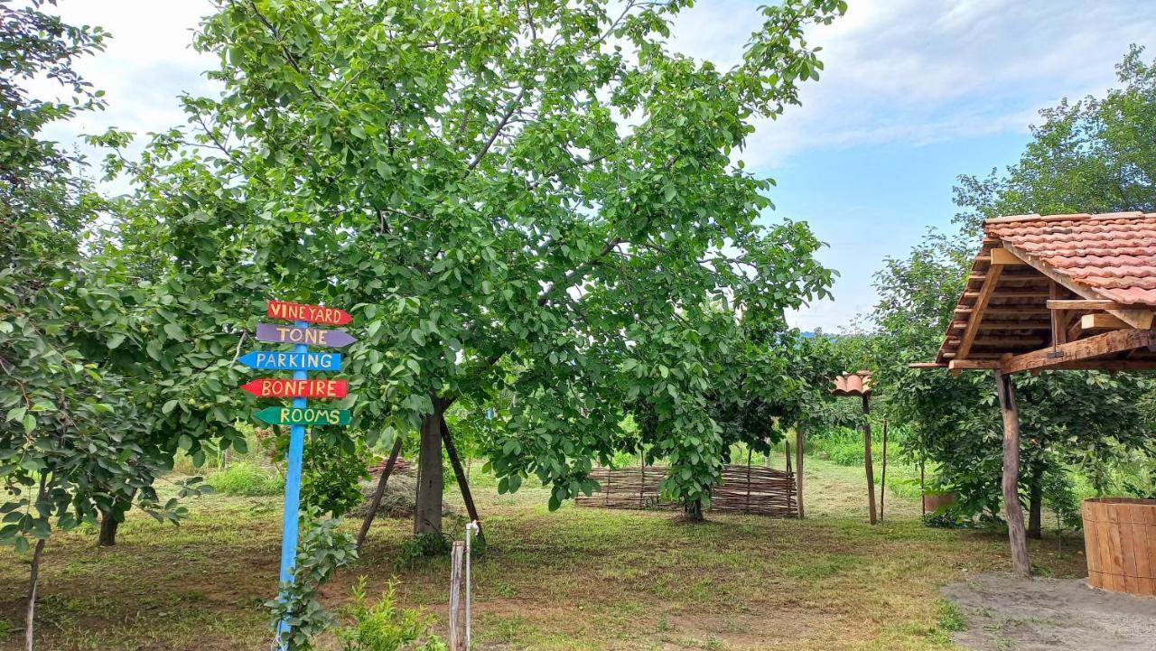 Veli Guest House • საოჯახო სასტუმრო ველი Zemo Alvani Extérieur photo