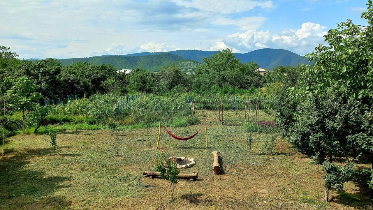 Veli Guest House • საოჯახო სასტუმრო ველი Zemo Alvani Extérieur photo